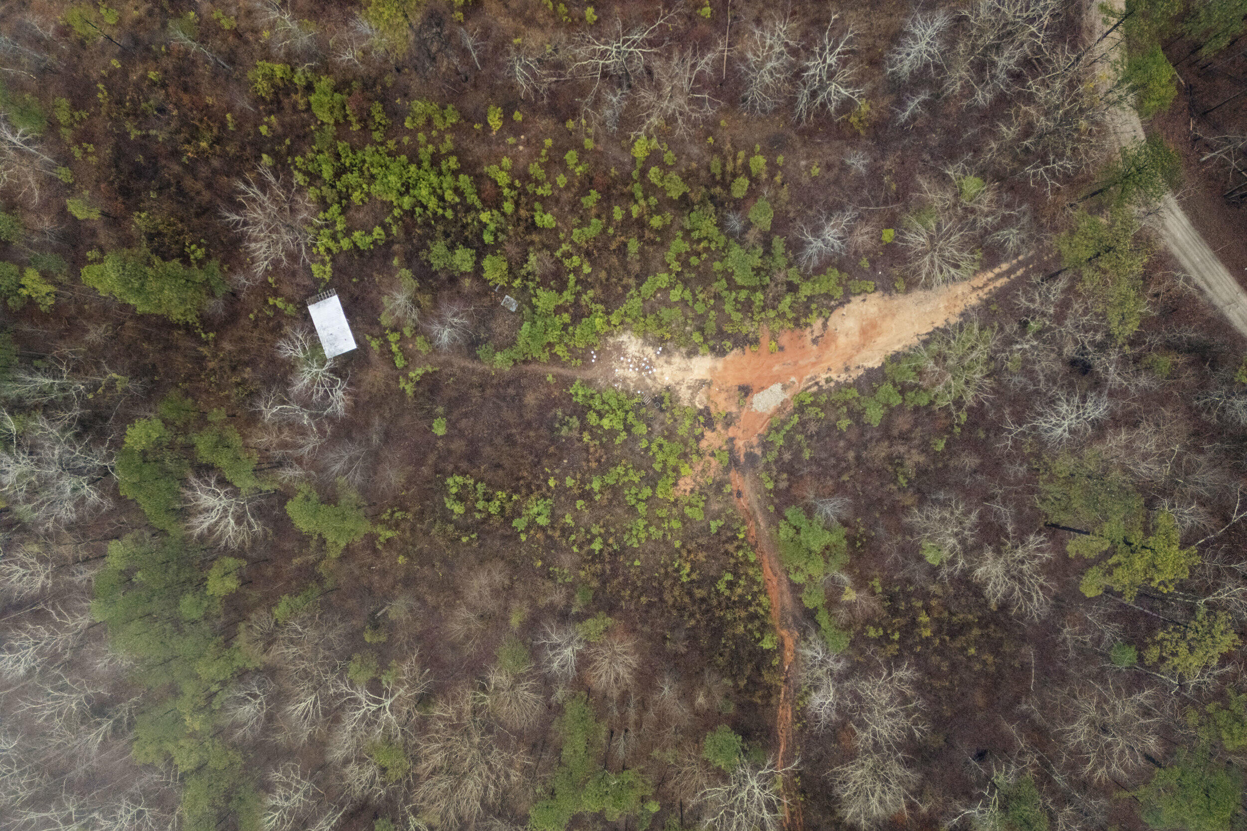 610 Forest Service Road Clarks Hill, SC 29821 - Photo 10 of 15 2026-02-05_forrest_service_rd-srm-10