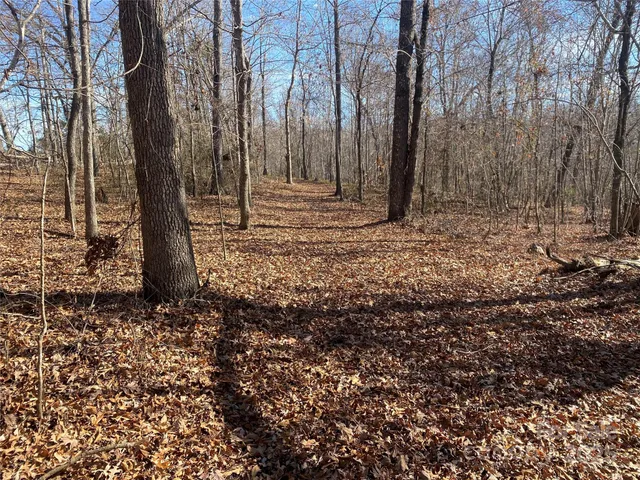 a view of wooden fence under a large tree