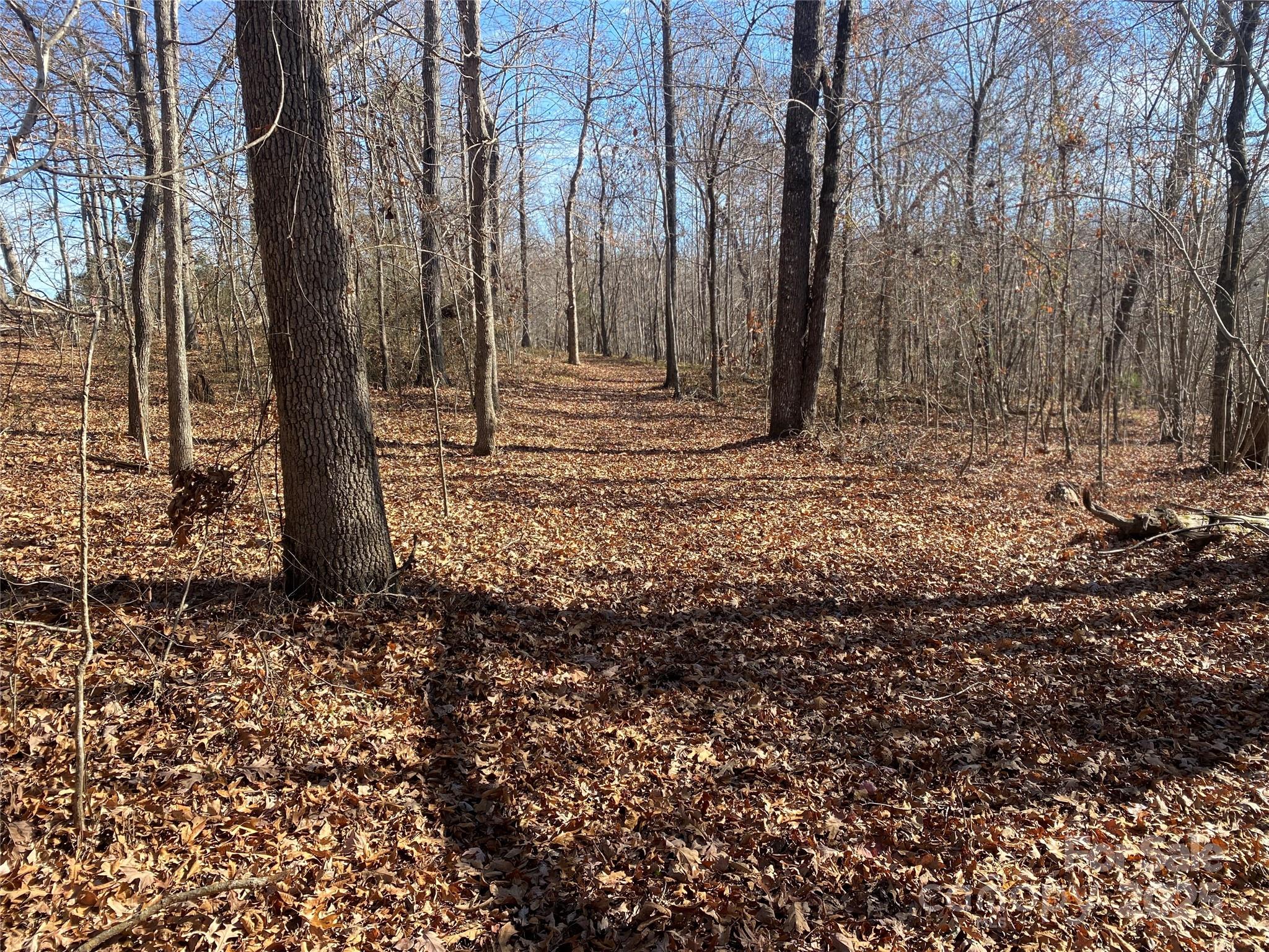 a view of wooden fence under a large tree