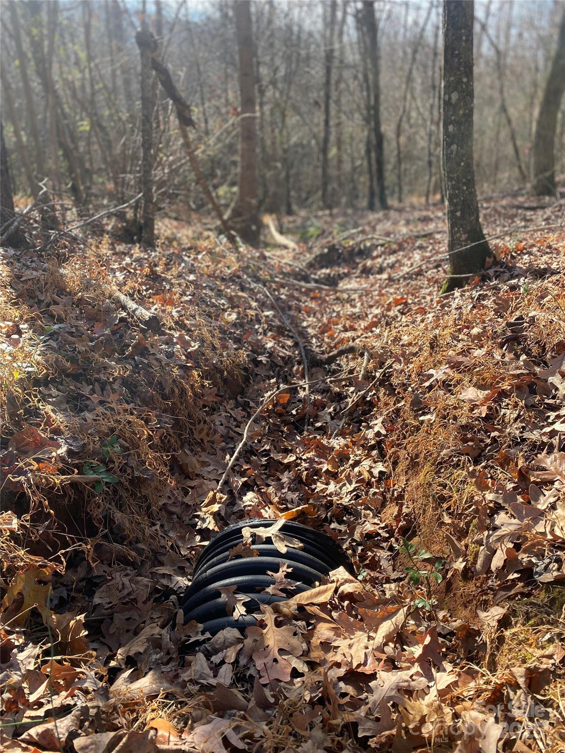 0 Kiser Road Bostic, NC 28018 - Photo 12 of 15 a view of a tree in a yard