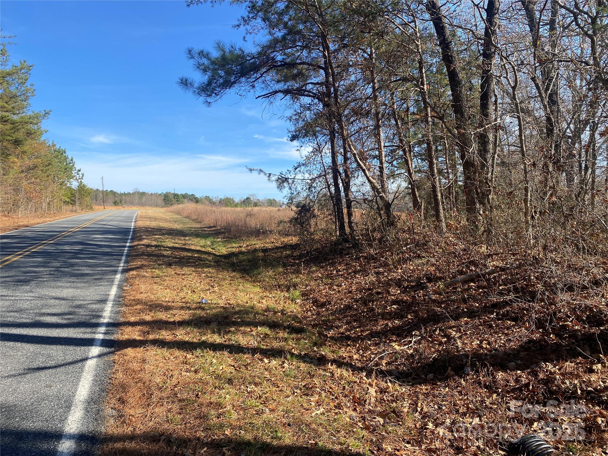 0 Kiser Road Bostic, NC 28018 - Photo 14 of 15 a view of a yard