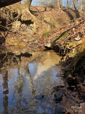 a view of a backyard of the house