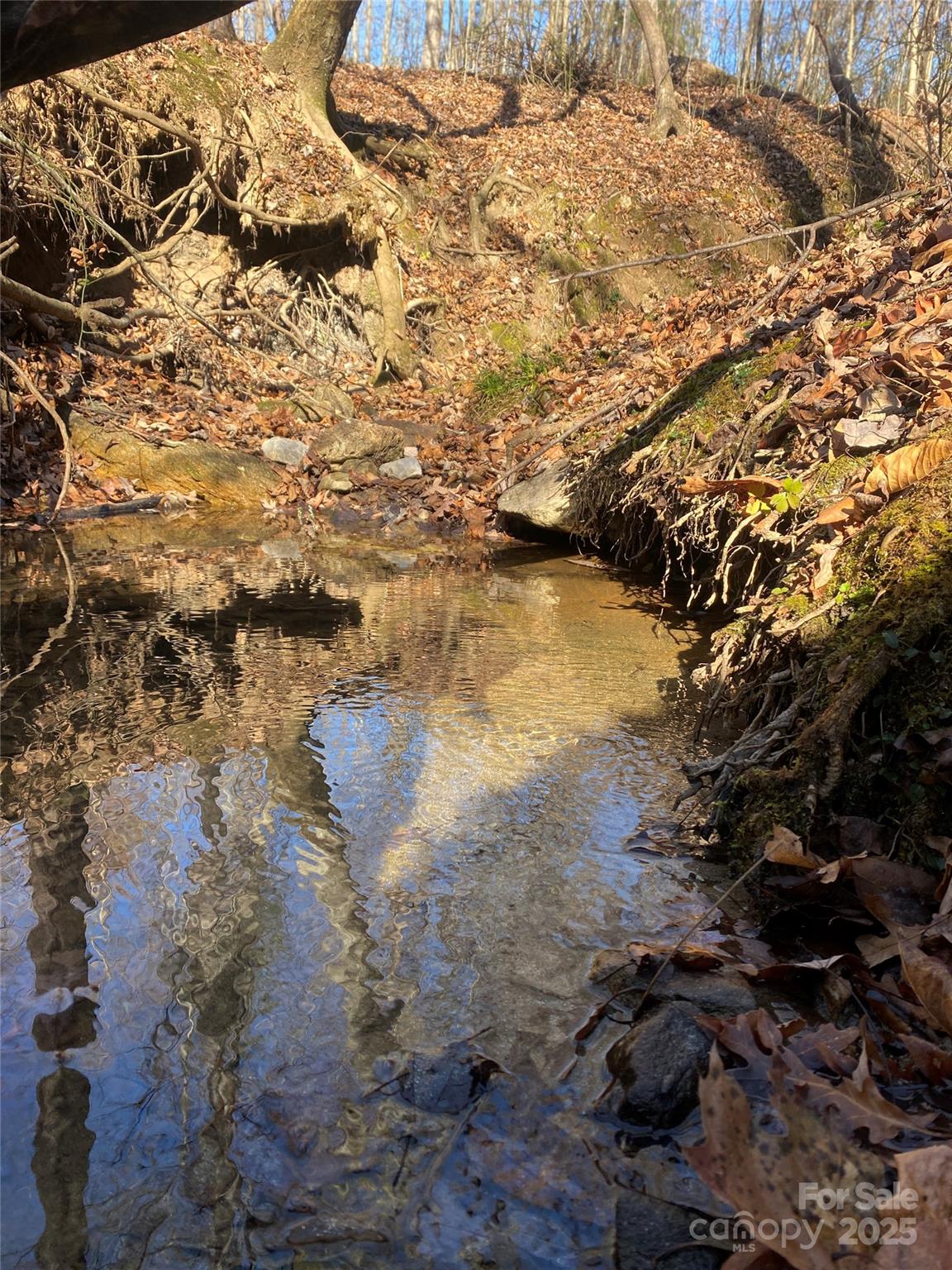 0 Kiser Road Bostic, NC 28018 - Photo 3 of 15