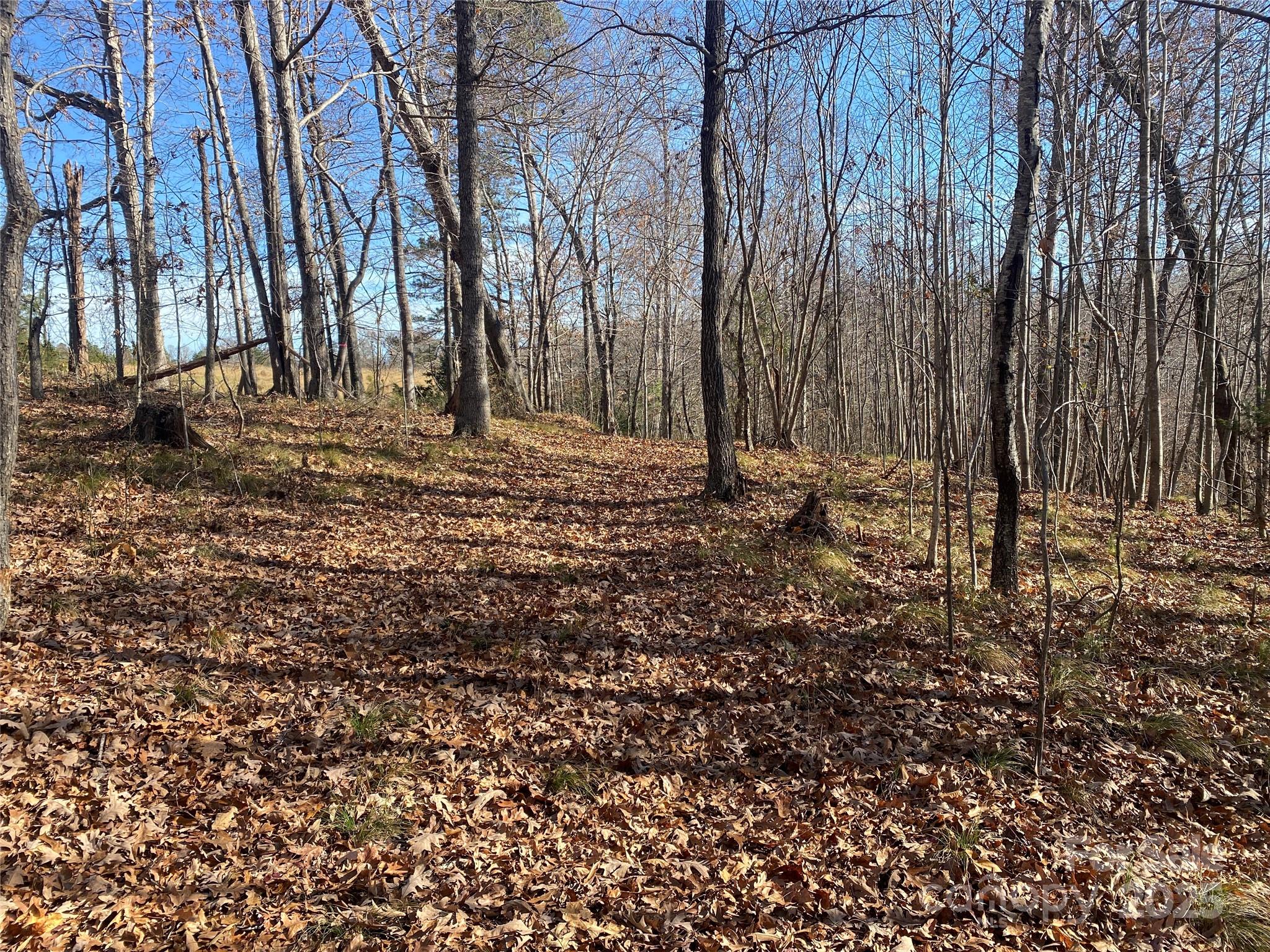 0 Kiser Road Bostic, NC 28018 - Photo 4 of 15