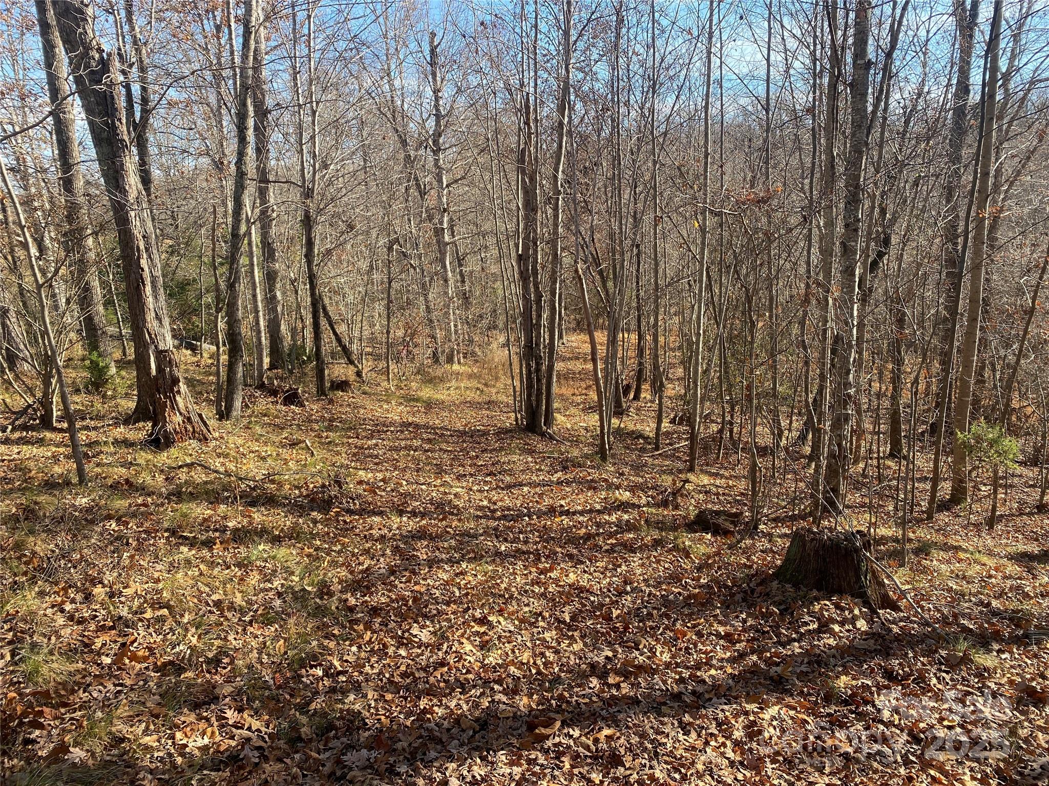 0 Kiser Road Bostic, NC 28018 - Photo 6 of 15 a backyard of a house with lots of green space