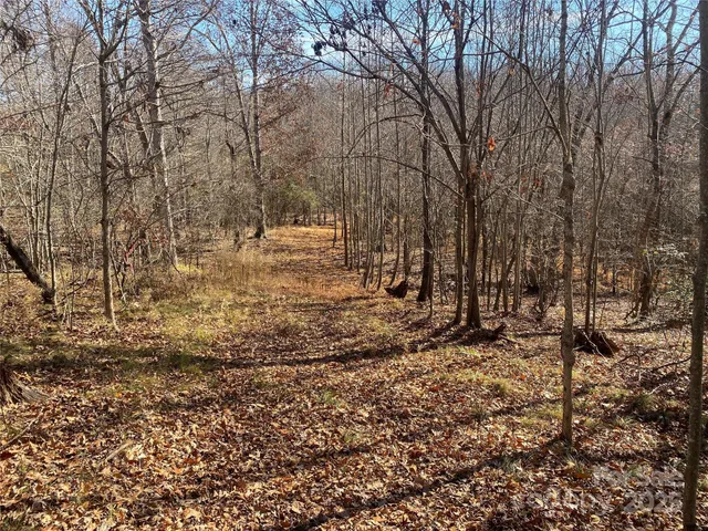 a view of a yard with trees