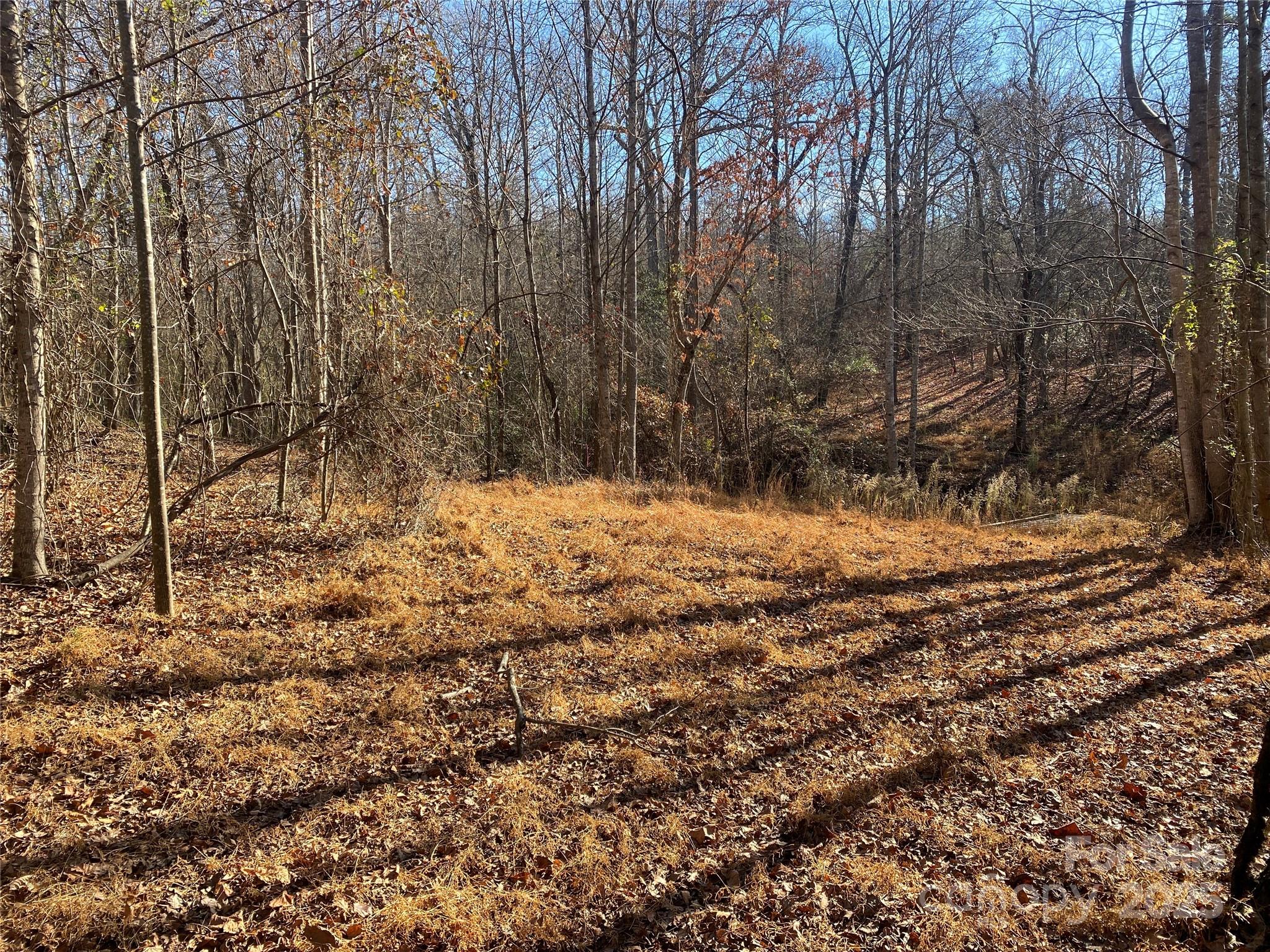 0 Kiser Road Bostic, NC 28018 - Photo 8 of 15 a view of covered with snow