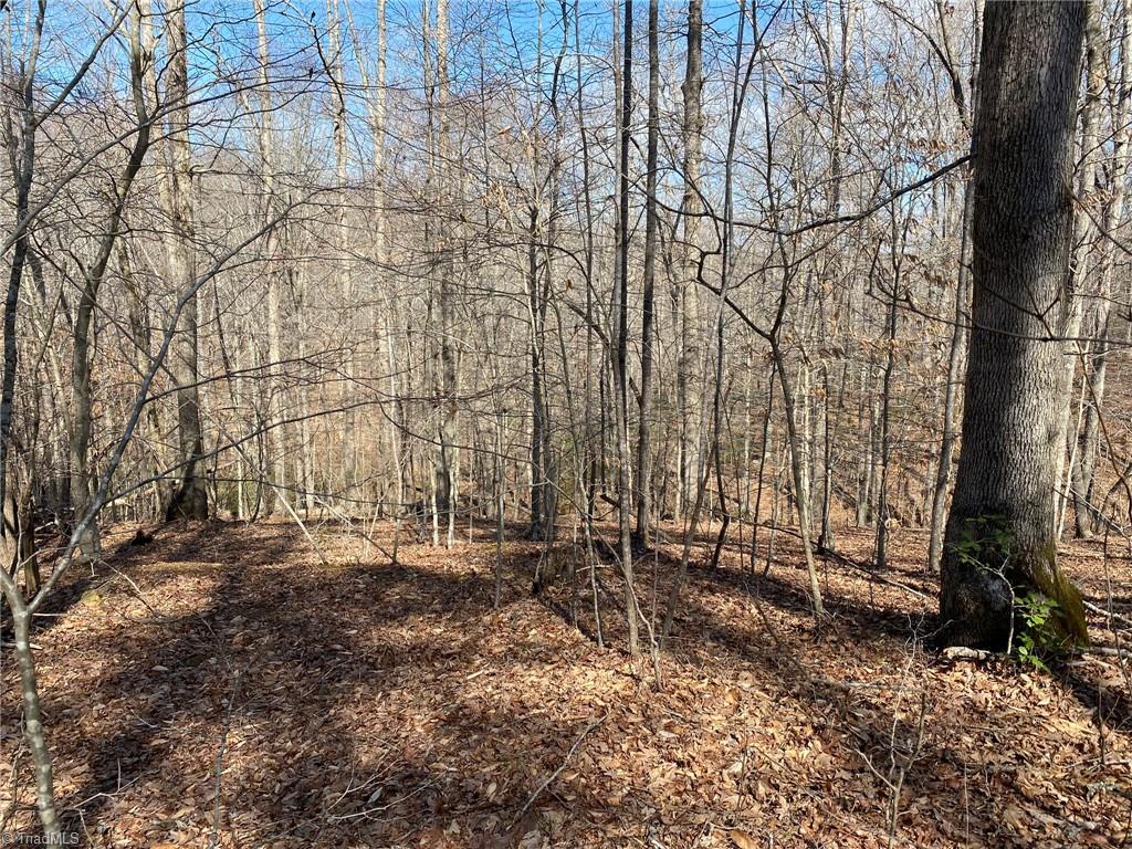 2781 Stewart Road Walnut Cove, NC 27052 - Photo 27 of 28 The land slopes off in the back of the property