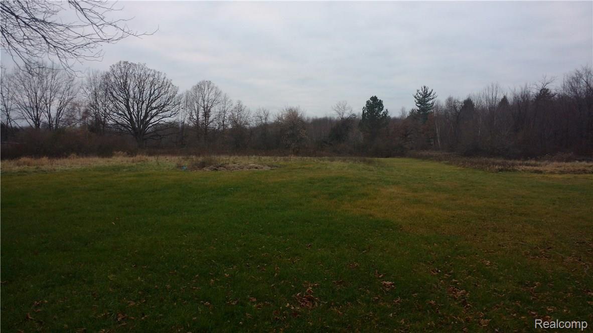 10191 Elms Road Montrose, MI 48457 - Photo 7 of 37 Large backyard on 3 acres of land