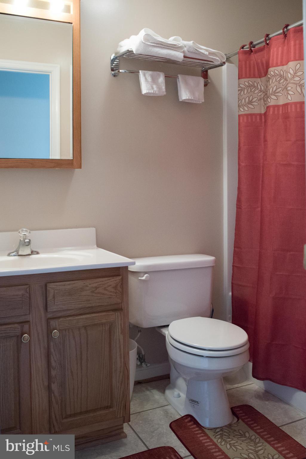 176 Wealthy Road Linden, VA 22642 - Photo 13 of 30 Bath on Main Levl