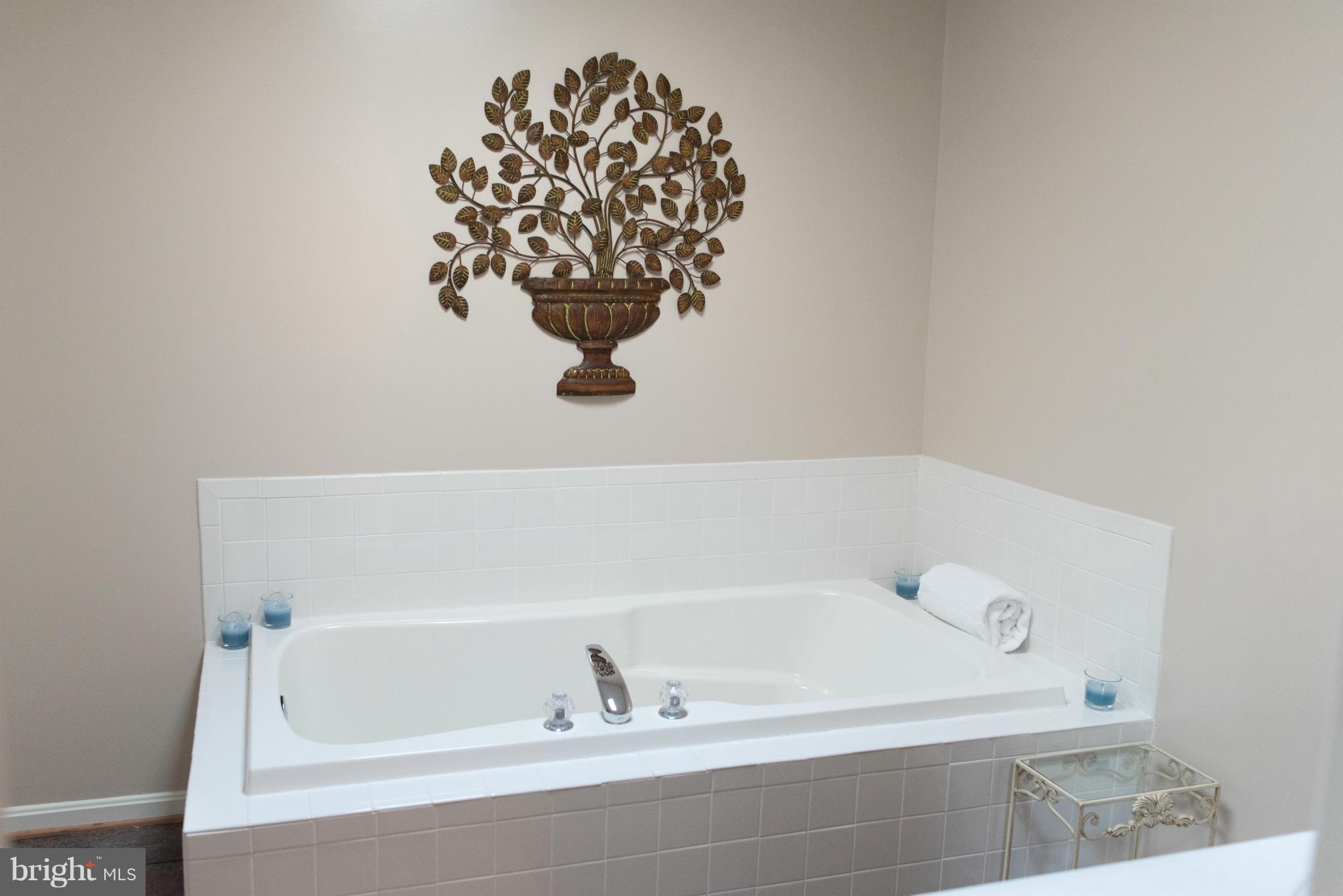 176 Wealthy Road Linden, VA 22642 - Photo 17 of 30 Bath (Master)
