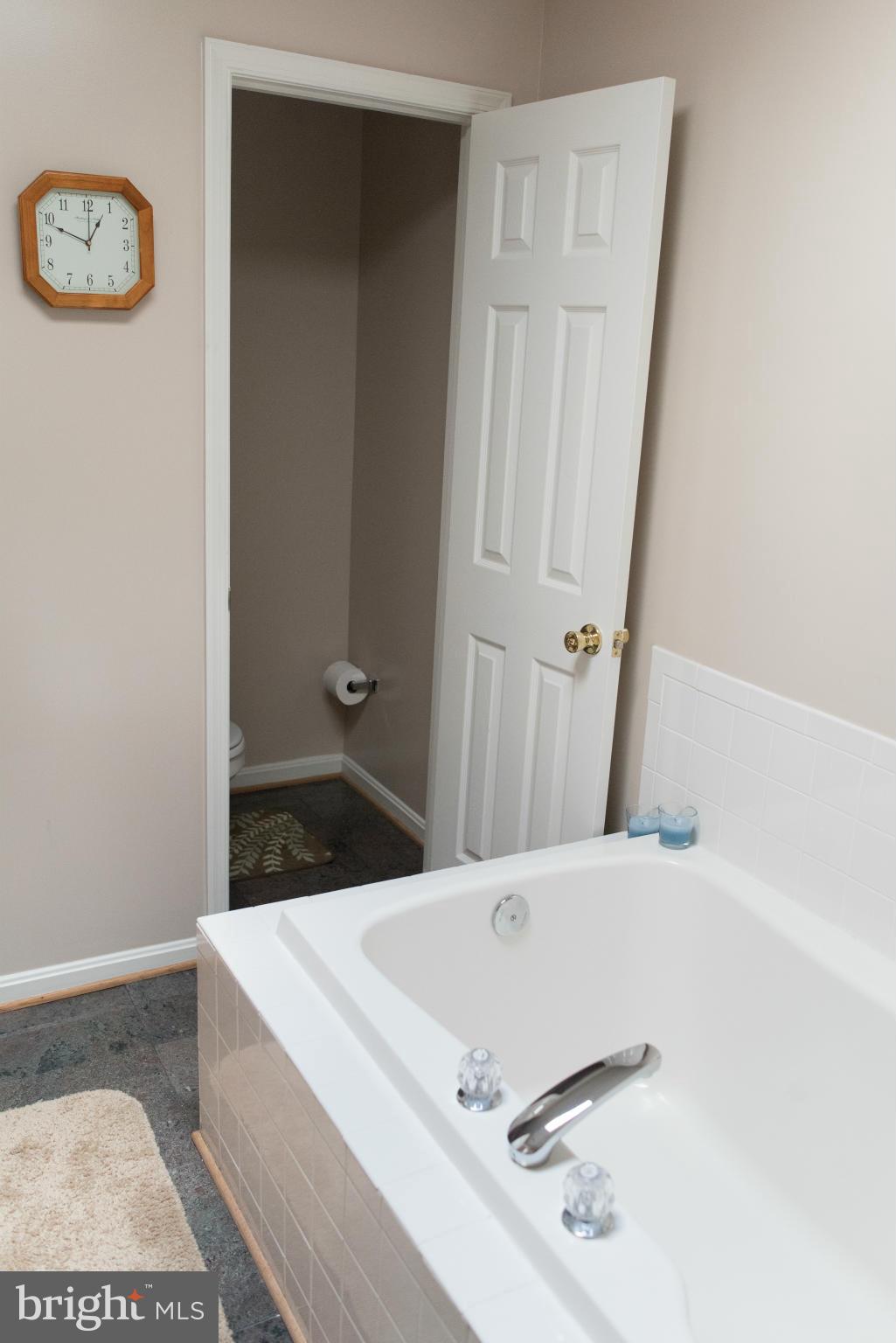 176 Wealthy Road Linden, VA 22642 - Photo 19 of 30 Master Bath with Toilet Room