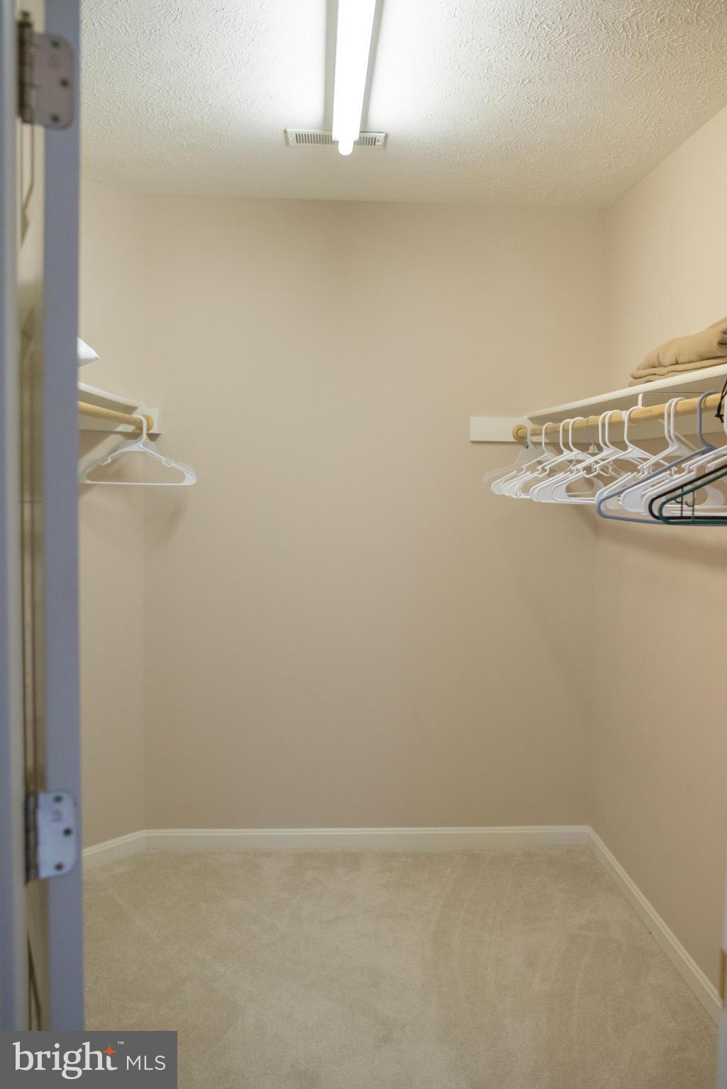 176 Wealthy Road Linden, VA 22642 - Photo 20 of 30 Walk-In Closet in Master