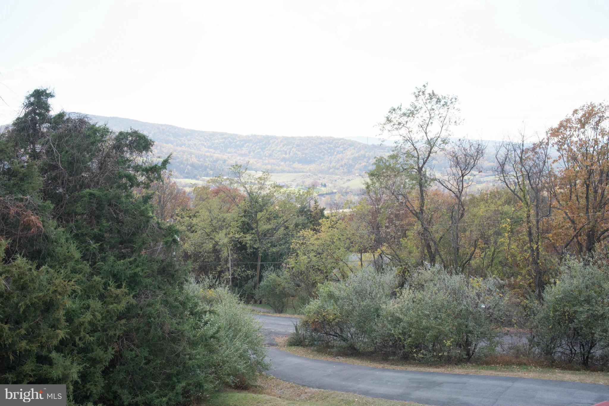 176 Wealthy Road Linden, VA 22642 - Photo 3 of 30 View from Porch
