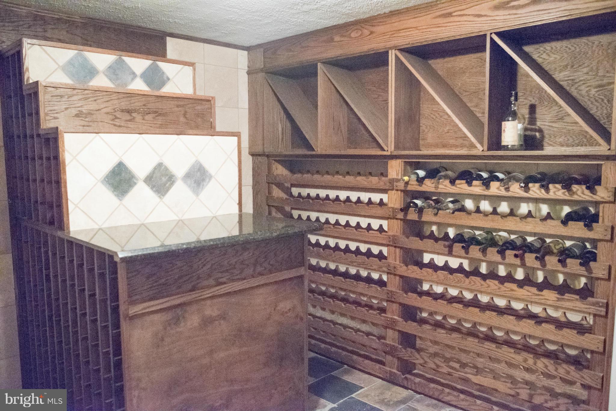 176 Wealthy Road Linden, VA 22642 - Photo 26 of 30 Wine Cellar