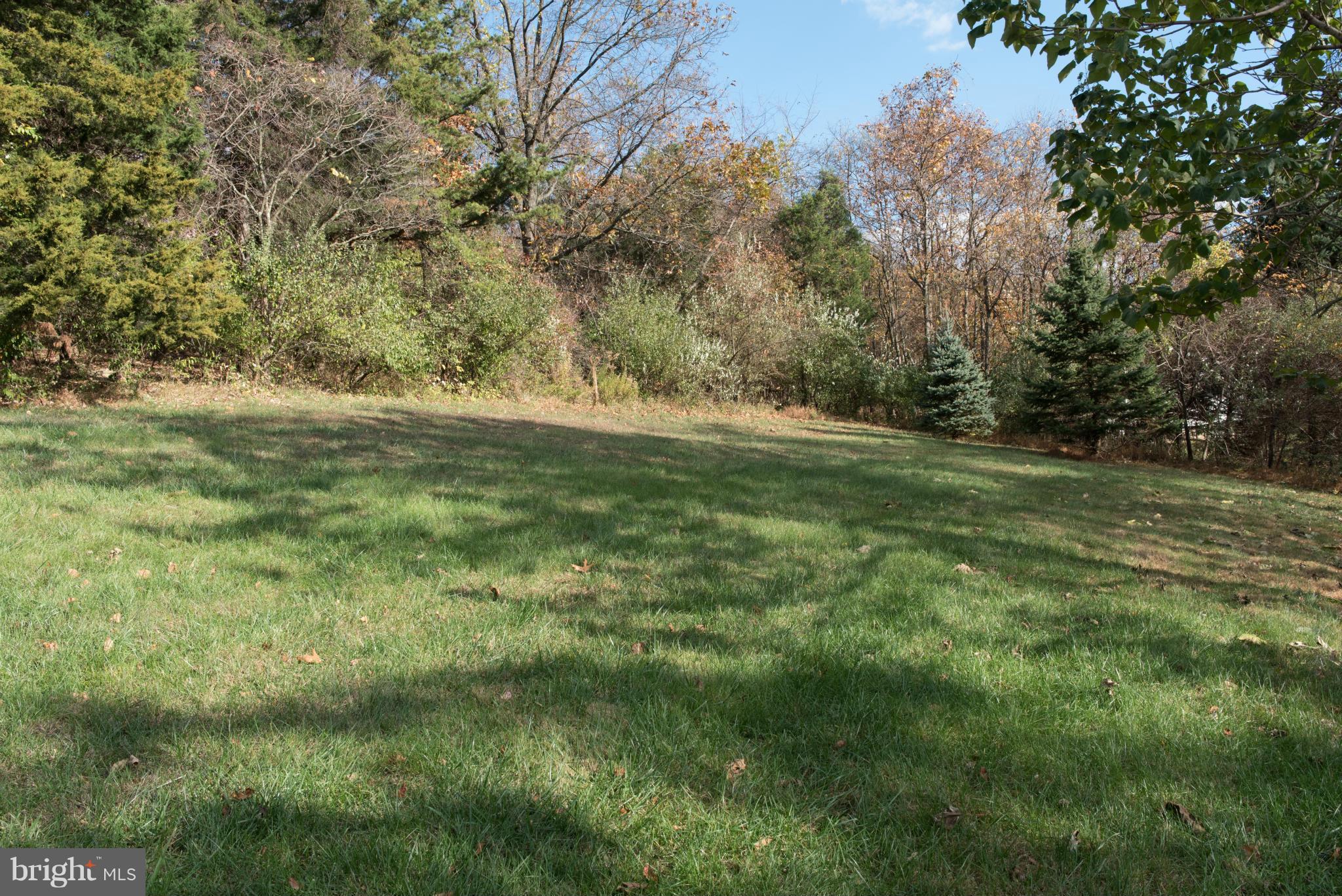 176 Wealthy Road Linden, VA 22642 - Photo 29 of 30 Exterior (Rear)