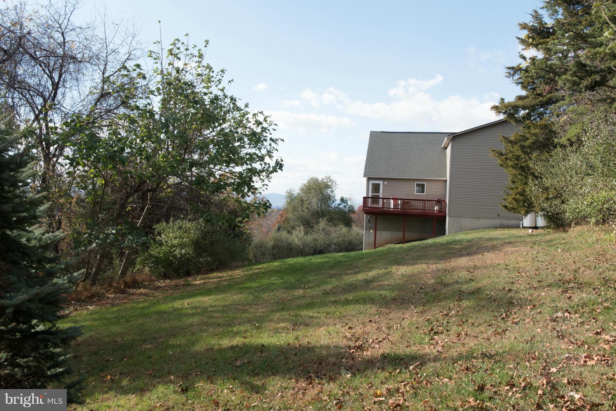 176 Wealthy Road Linden, VA 22642 - Photo 30 of 30 Exterior (Rear)
