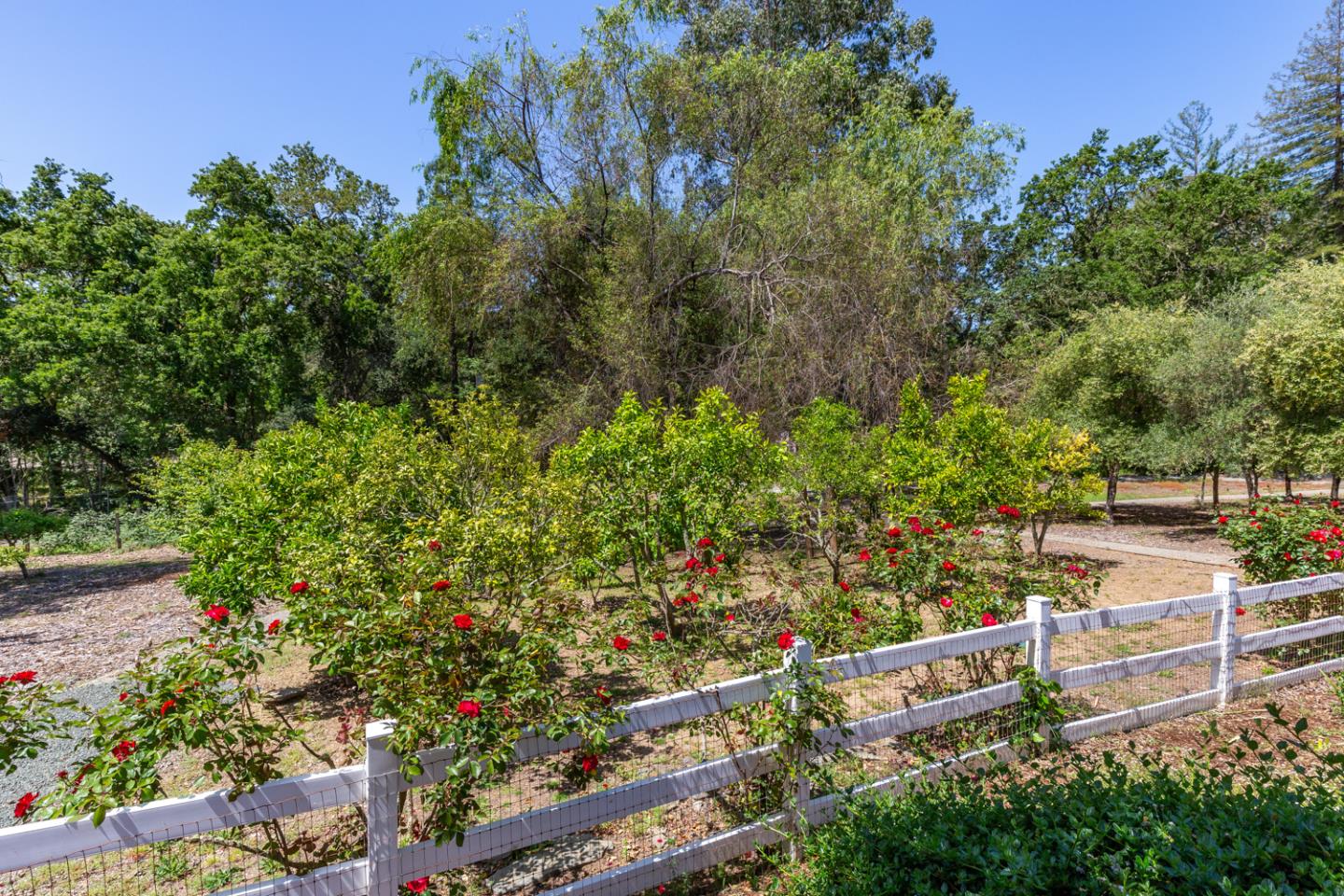 1210 Cañada Road Woodside, CA 94062 - Photo 50 of 60 a view of a garden with plants
