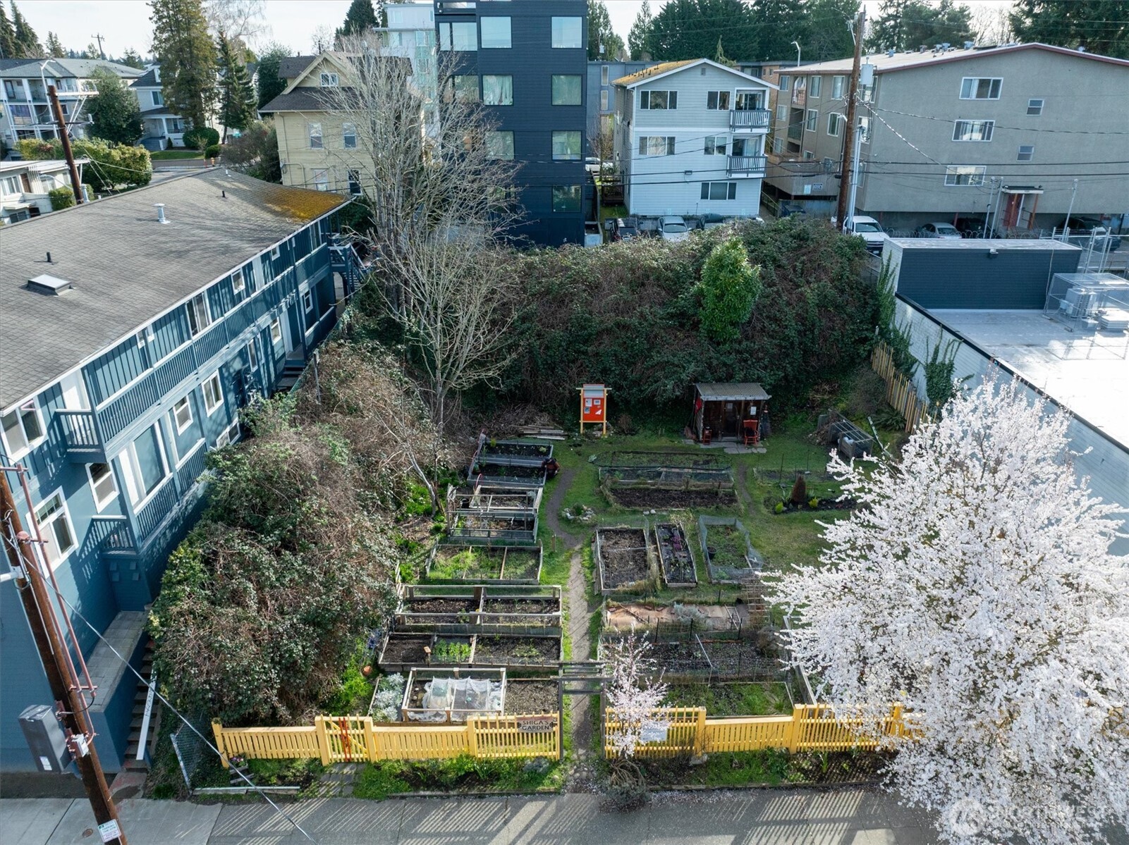 5520 University Way Northeast Seattle, WA 98105 - Photo 1 of 17