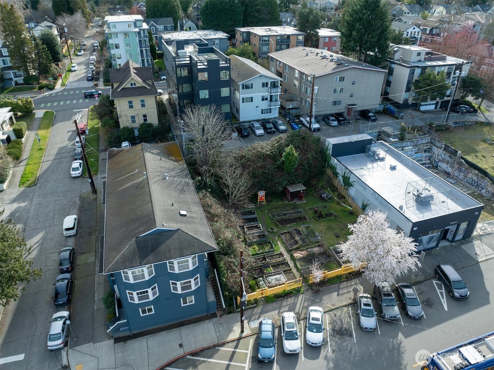 5520 University Way Northeast Seattle, WA 98105 - Photo 9 of 17