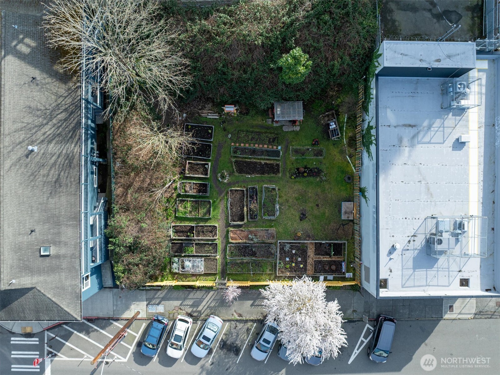 5520 University Way Northeast Seattle, WA 98105 - Photo 10 of 17