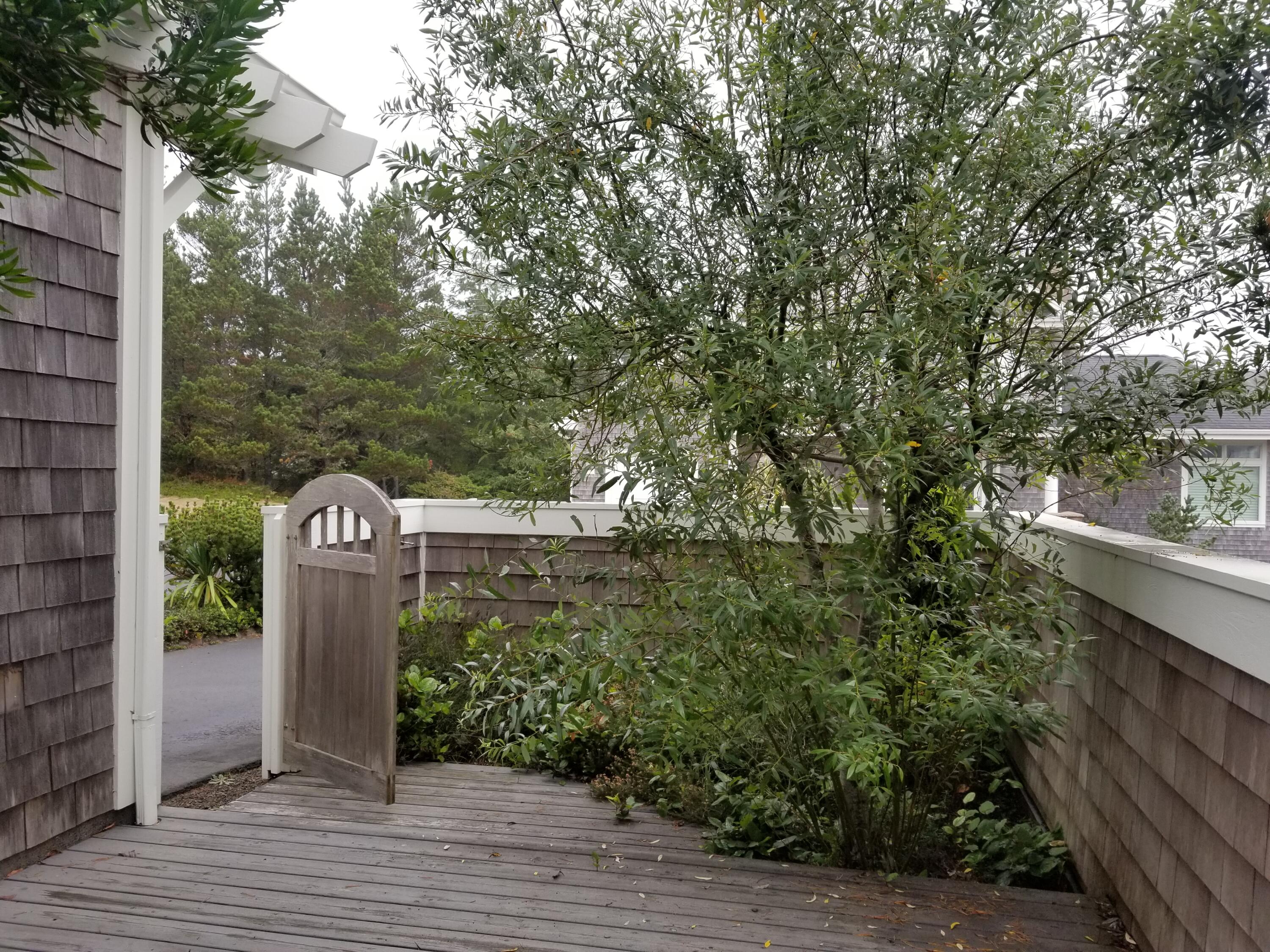 375 Promontory Lane Tillamook, OR 97141 - Photo 3 of 5 Courtyard