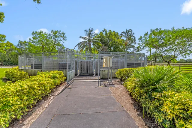 a view of a garden with a bench