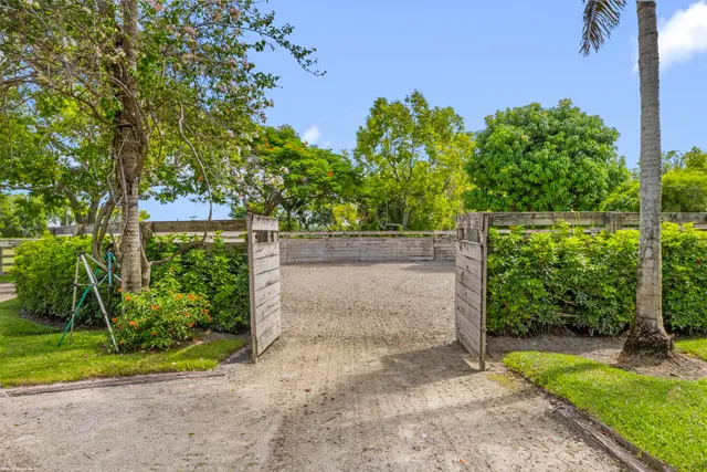 a view of a garden with pathway