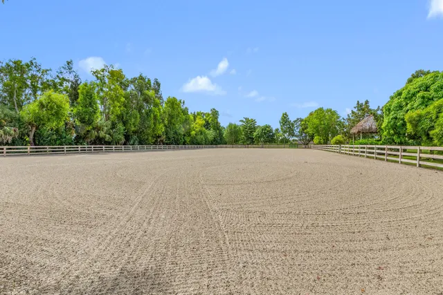 a view of a dry yard