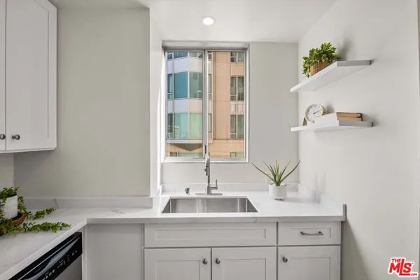 a sink with a potted plant on a counter and a sink