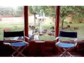 184 Francestown Road Bennington, NH 03442 - Photo 2 of 4