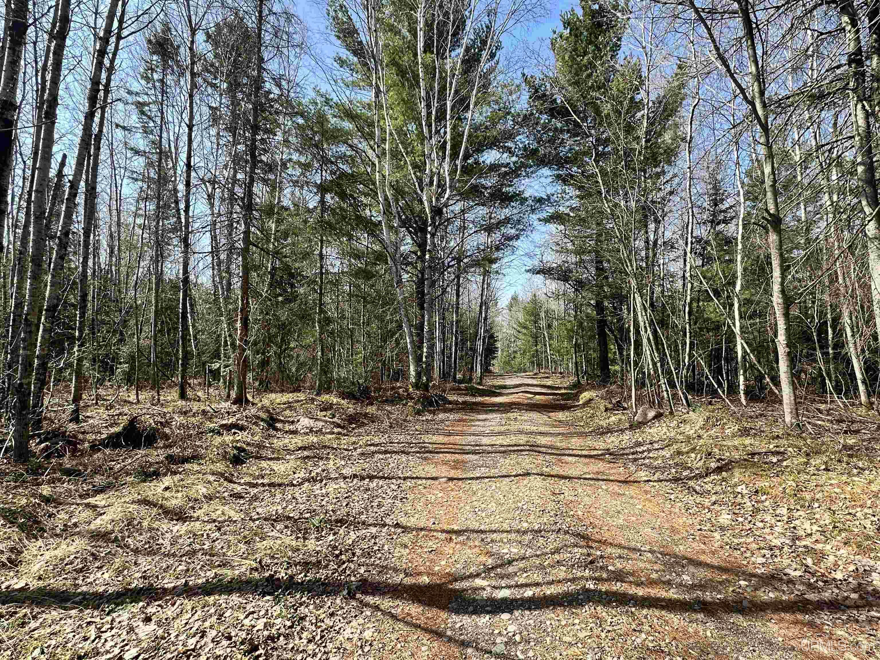 10344 East Road Champion, MI 49814 - Photo 19 of 28