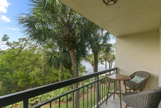 a view of a palm trees