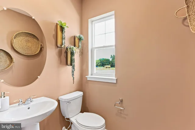 a bathroom with a toilet a sink and a mirror