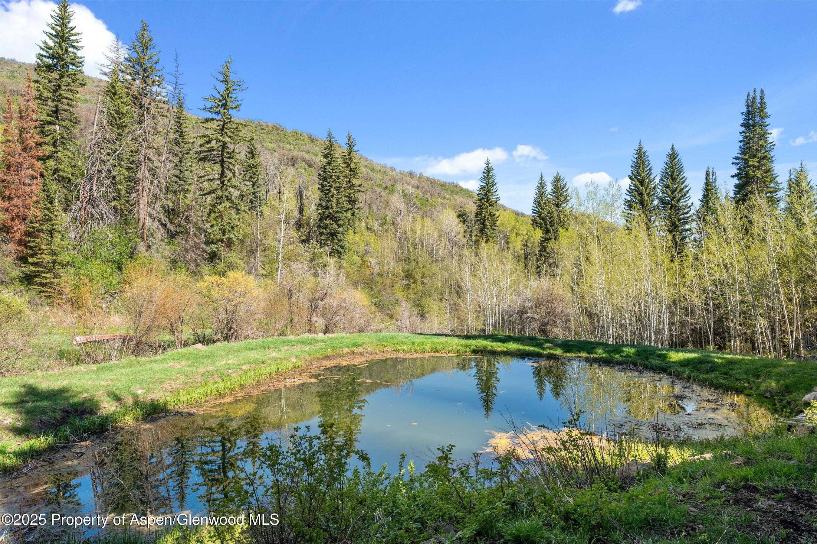 0 East Divide Creek Road New Castle, CO 81647 - Photo 44 of 45 33-0EDivideCreekRd_25052203