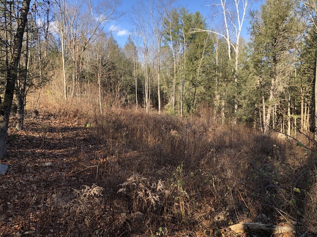 0 Potato Hill Road Westminster, MA 01473 - Photo 1 of 5