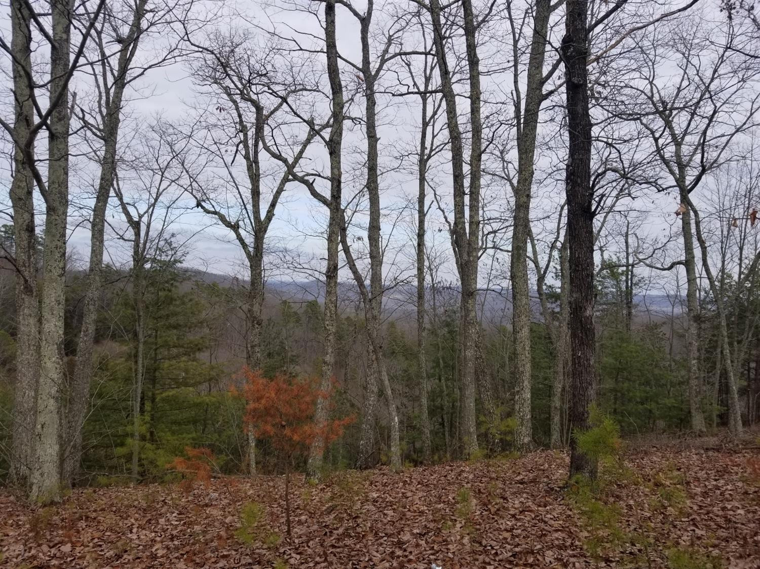724 Dixie Bend Road Burnside, KY 42519 - Photo 19 of 22 Photo 19