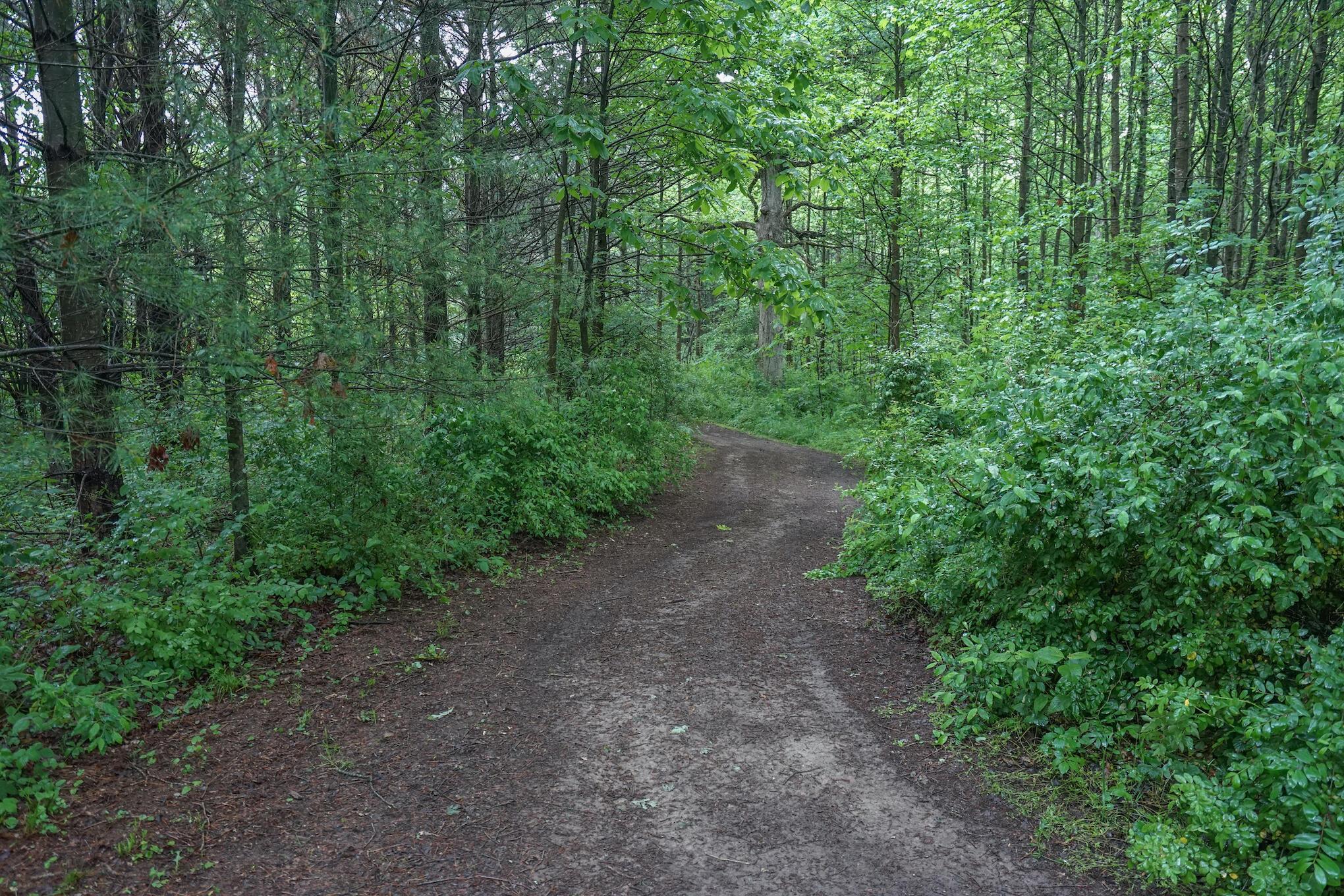 0 Roller Coaster Road Hamden, OH 45634 - Photo 26 of 60