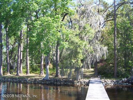 2668 Holly Point Road East Orange Park, FL 32073 - Photo 11 of 11 Back view from dock
