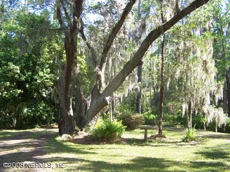 2668 Holly Point Road East Orange Park, FL 32073 - Photo 2 of 11 Front facing road