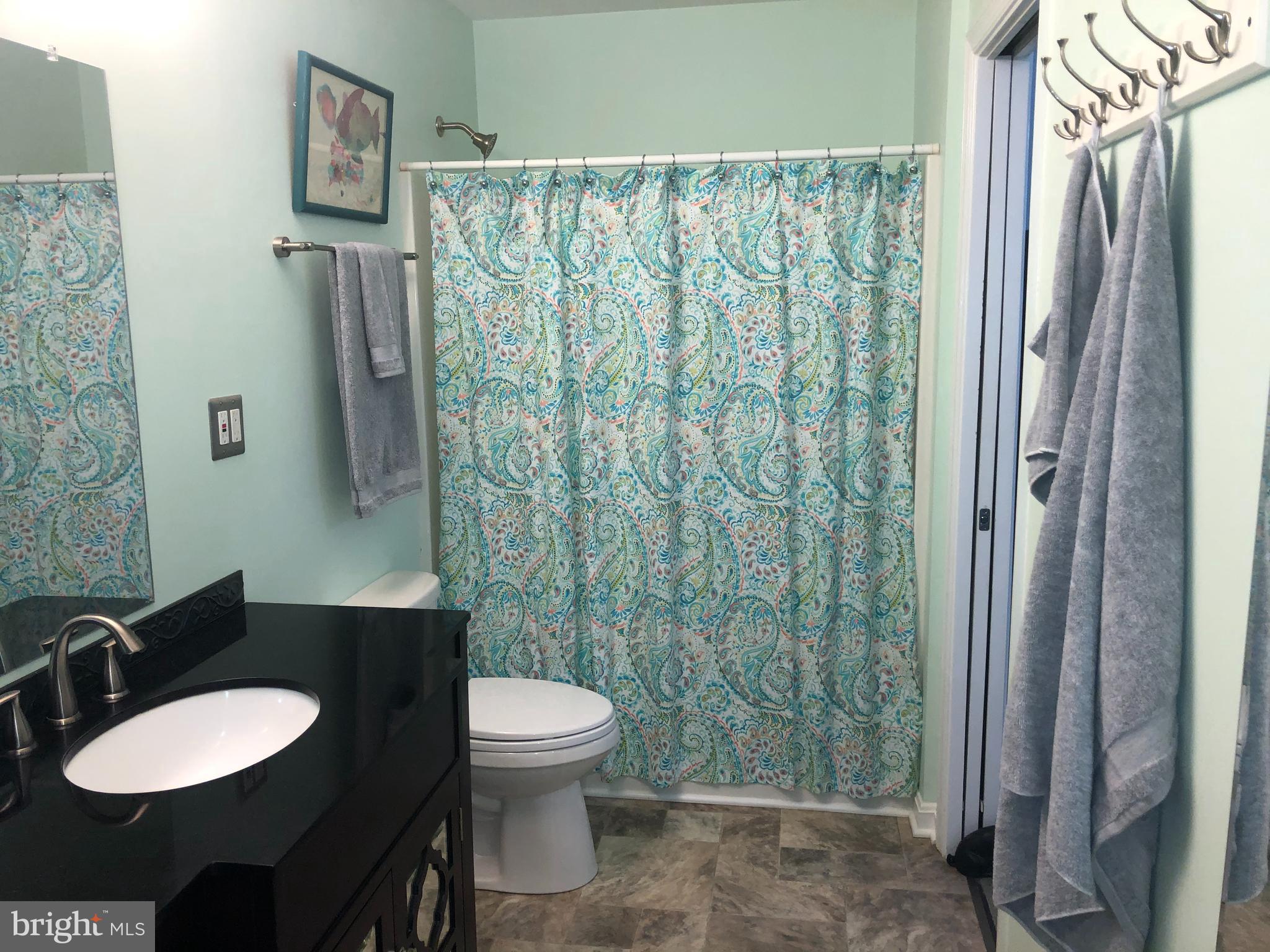 4575 Courtneys Corner Road Sumerduck, VA 22742 - Photo 94 of 145 Hall Bath with EnSuite to Bedroom