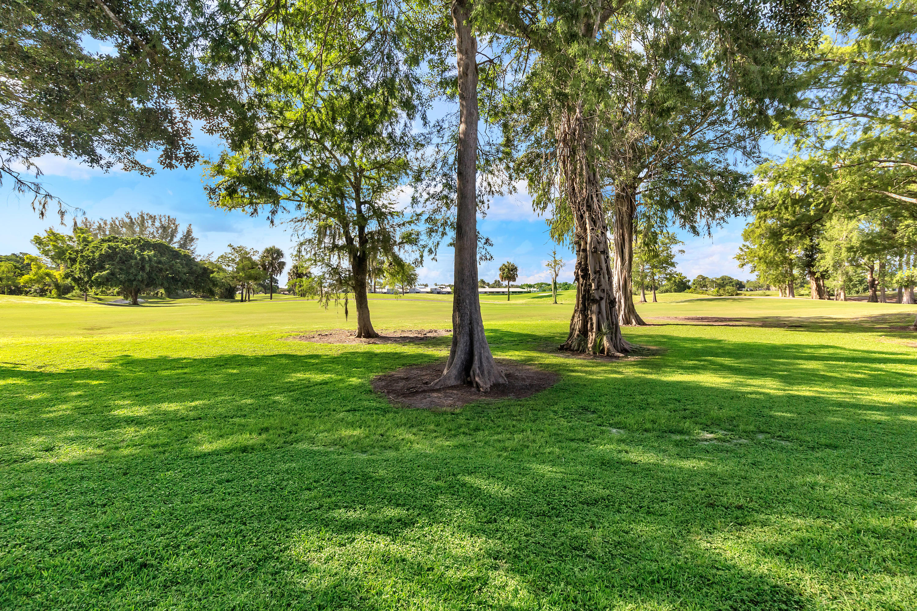 7605 Black Olive Way Fort Lauderdale, FL 33321 - Photo 22 of 33 IMG_9490