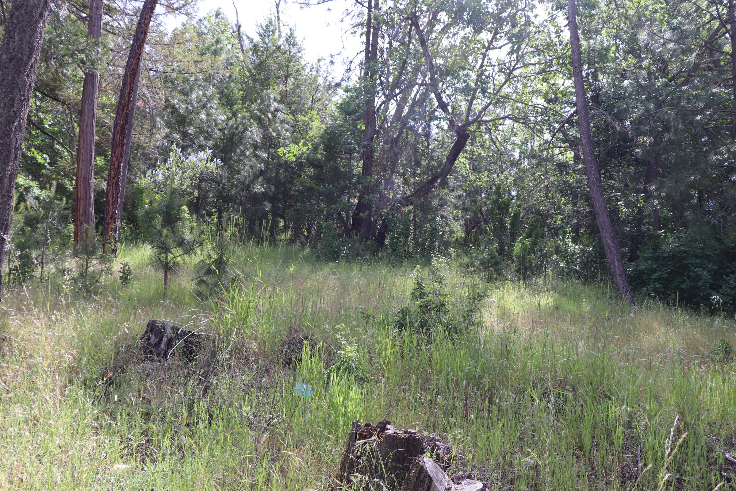 201 Monterico Road Grants Pass, OR 97526 - Photo 27 of 50 IMG_3073