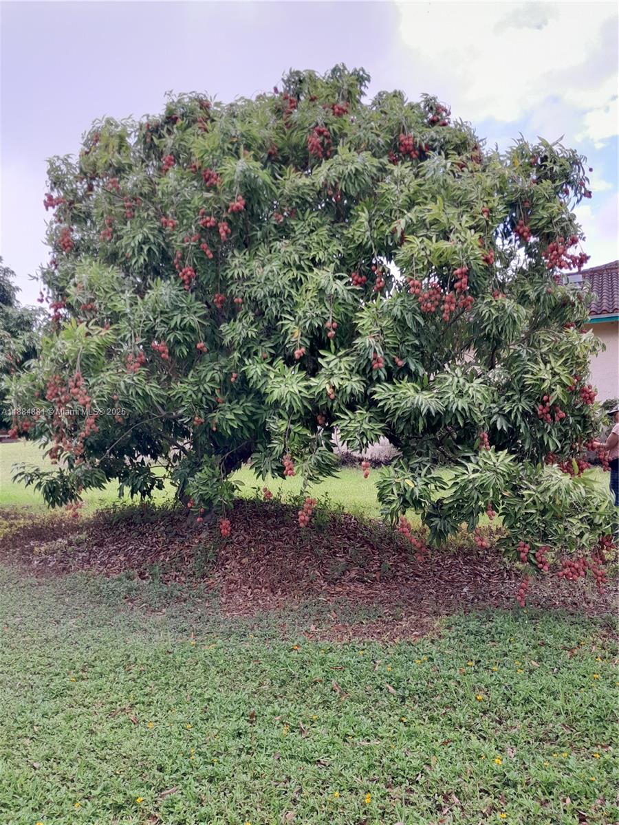 22220 Southwest 248th Street Homestead, FL 33031 - Photo 39 of 44