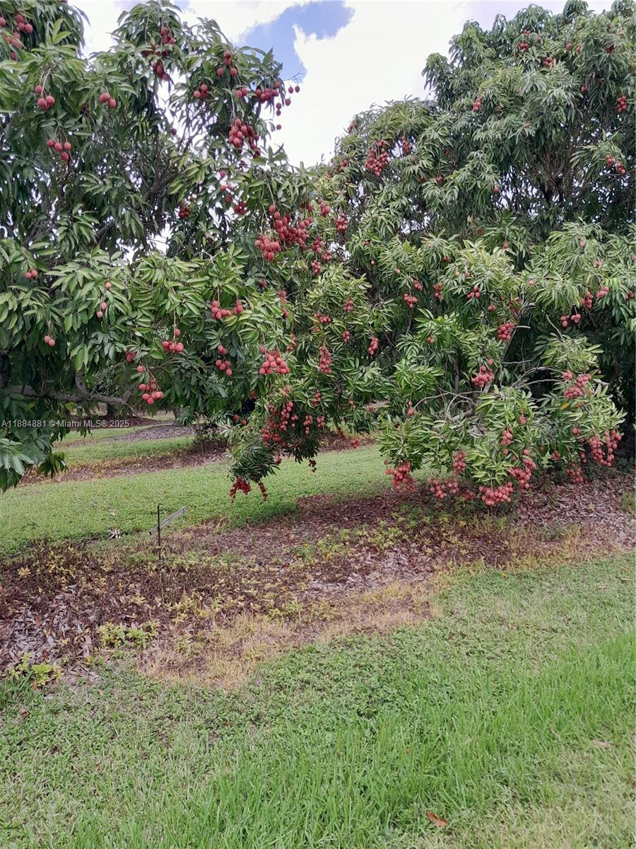 22220 Southwest 248th Street Homestead, FL 33031 - Photo 40 of 44