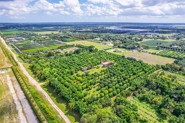 a view of city and ocean