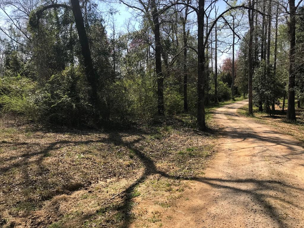 Lot 1 Holiness Church Road Wagener, SC 29164 - Photo 20 of 22