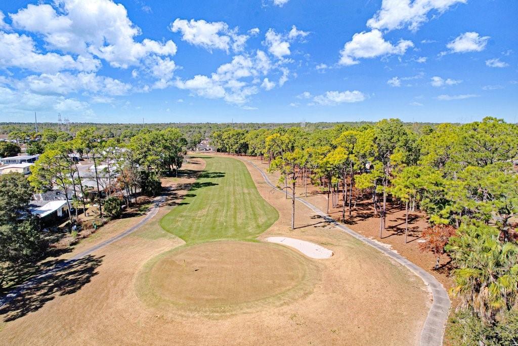 14299 Nectarine Street Brooksville, FL 34613 - Photo 39 of 41 a view of a swimming pool with an outdoor seating and a yard