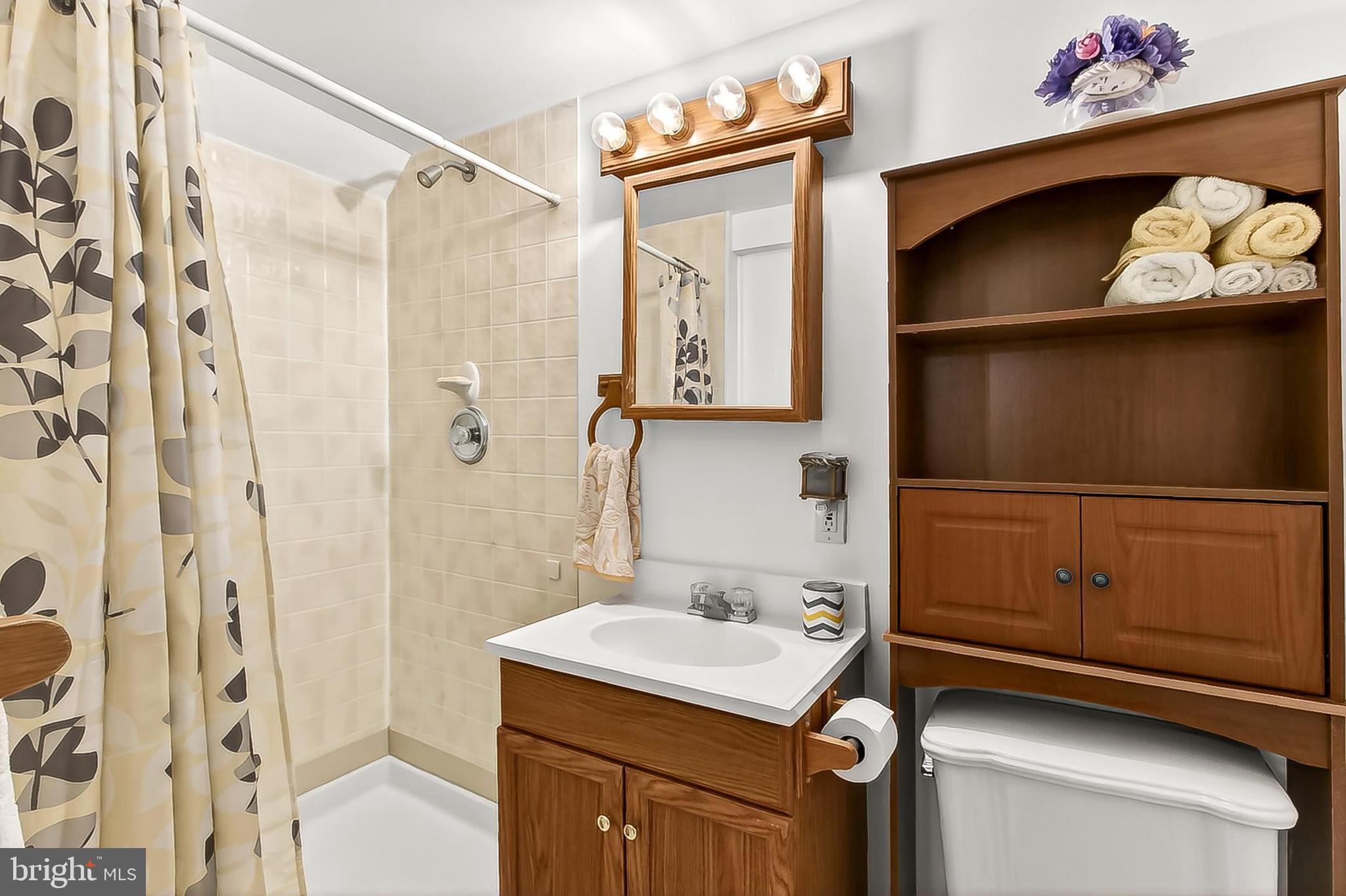 9056 Brook Ford Road Burke, VA 22015 - Photo 35 of 56 Lower Level Full shower bath!!