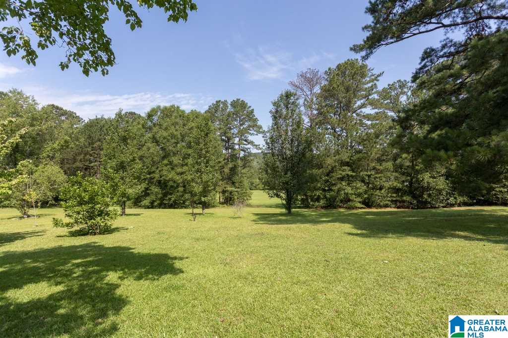 180 Allen Street Piedmont, AL 36272 - Photo 35 of 41